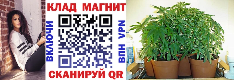 Магазин наркотиков Печоры Cocaine Галлюциногенные грибы ЭКСТАЗИ hydra онион ГАШИШ Alpha-PVP