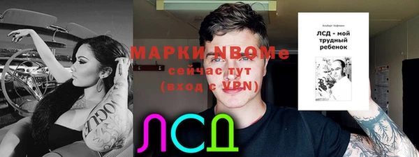 стаф Арсеньев