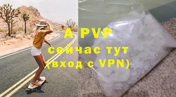 стаф Арсеньев