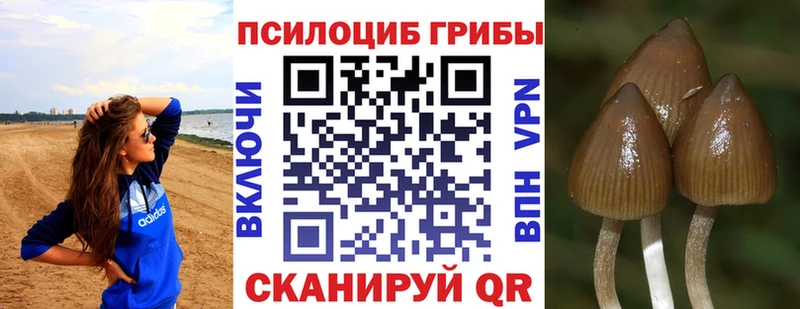 Псилоцибиновые грибы мухоморы  Печоры 
